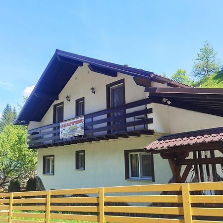 Отель Casa Pietrosu Rodnei Борша Экстерьер фото