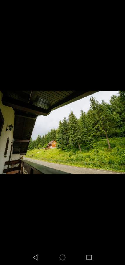 Отель Casa Pietrosu Rodnei Борша Экстерьер фото