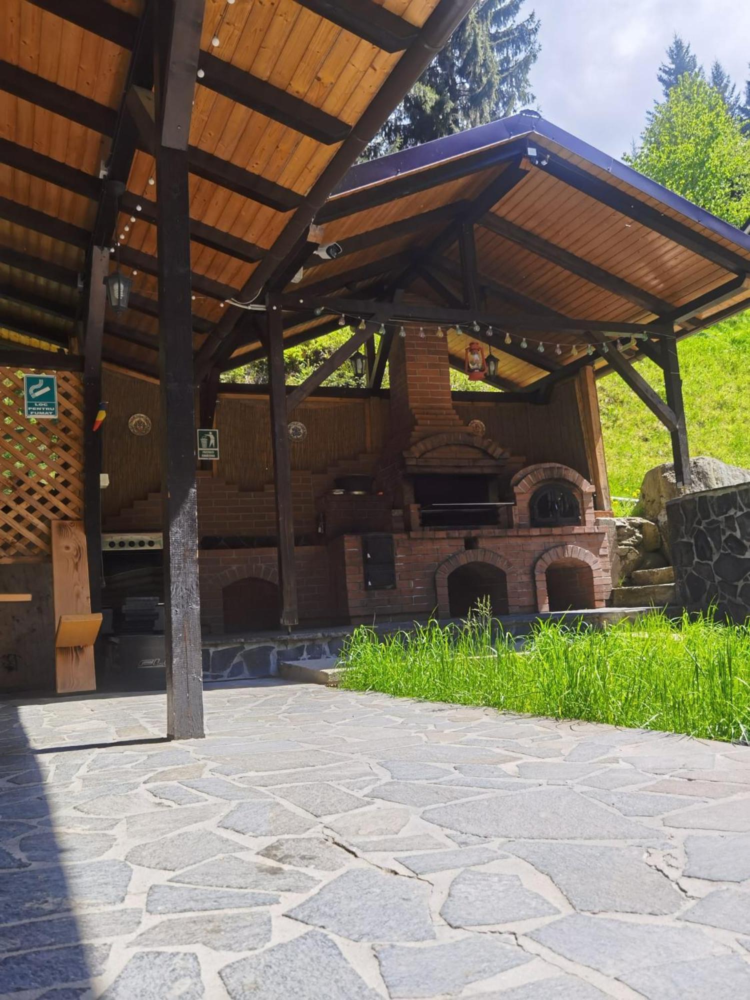 Отель Casa Pietrosu Rodnei Борша Экстерьер фото